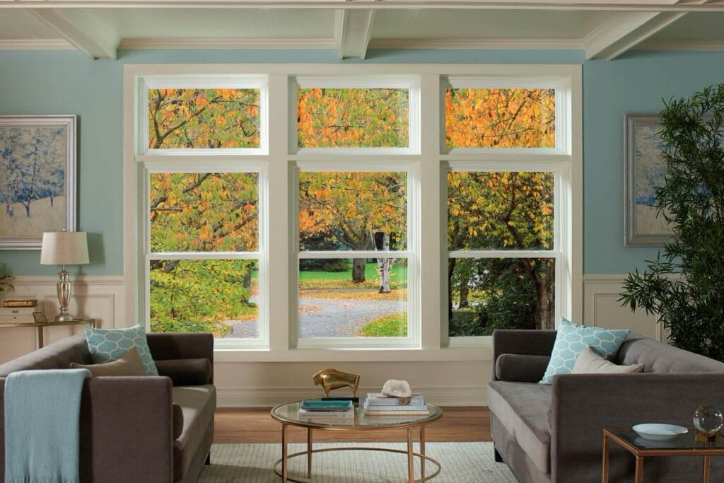 Double Hung Window Living Room